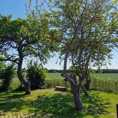 Apartamento „dreebeen“ - Hof Mühlenkoppel